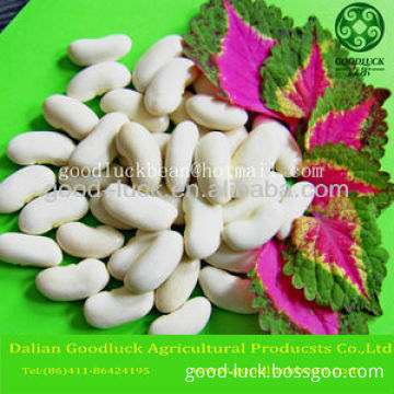 New Crop 180~200pcs Long Shape White Kidney Beans